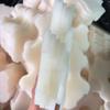 4/8/12/20pcs Replacement Part Pool Cleaner Sponge for WINNY HJ1102P Cordless Robotic Cleaner