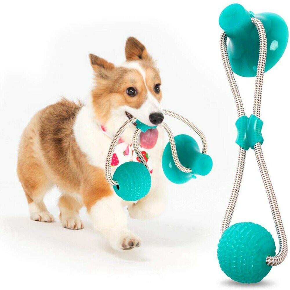 pet molar bite toy