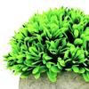 Artificial s PU Material Potted Ornament Housewarming Gifts Craft Bonsai Small for Garden Desktop