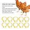 100Pcs Plastic Chicken Ankle Rings Yellow Poultry Feet Rings Geese Leg Rings  For Breeding Ducks
