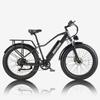 Bicicletta Elettrica Burchad Rx20 Motore di Picco 750W Ruote Grasse 26" Bicicletta Elettrica per Adulti Fuoristrada 48V 20Ah Freni a Doppio Disco 7 Velocità Display LCD