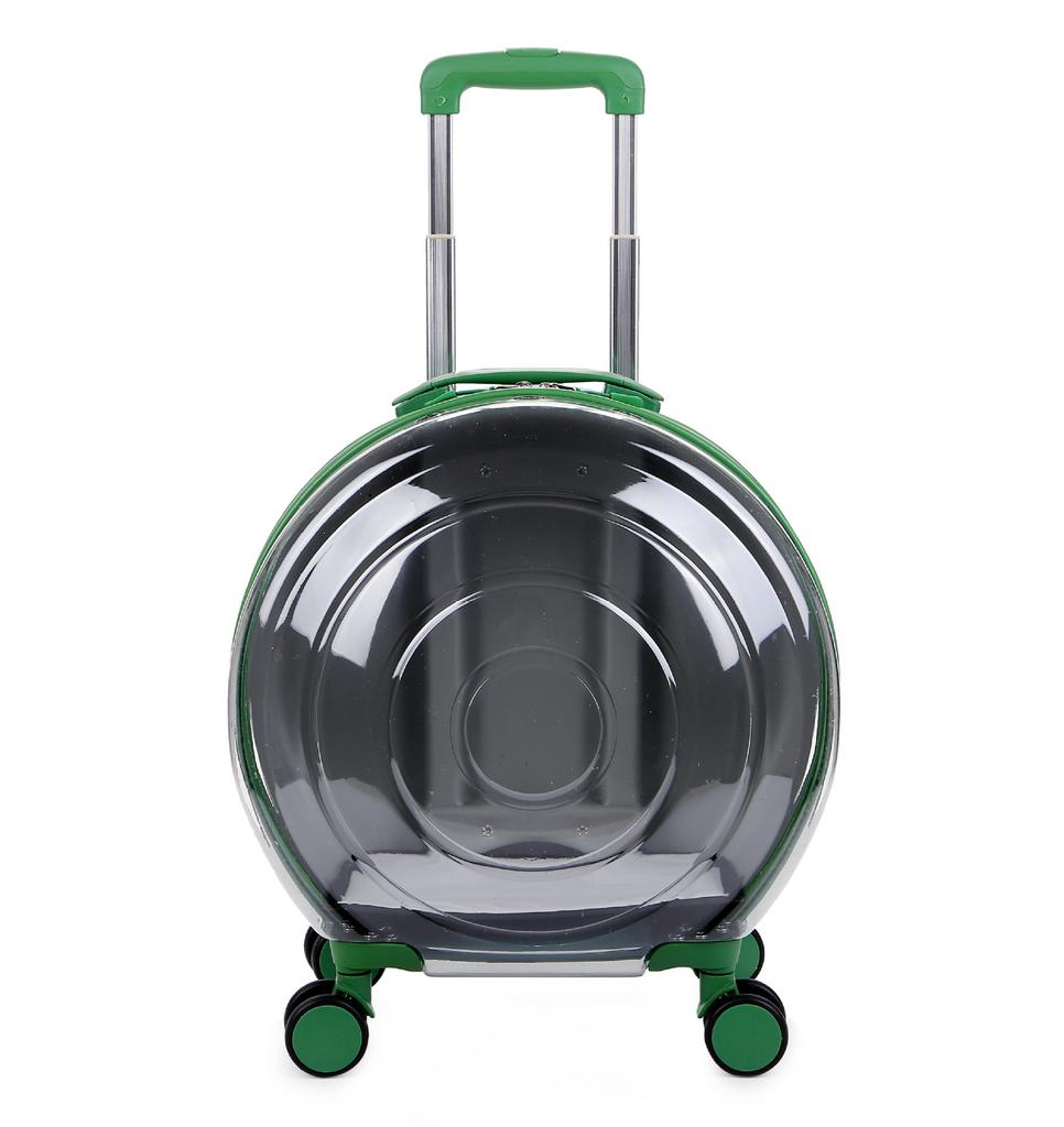 Valise transparente pour animaux de compagnie, grande capacité, valise de voyage pour chien, boîte à bulles Portable d'extérieur, boîte d'aviation