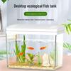 High-Transparency Self-Circulating Acrylic Fish Tank for Living Room - Ecological Design for Goldfish & Turtles