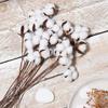 Naturally Cotton Artificial Plants Floral Branch Wedding Outdoor Garden Courtyard Festival Party Vase Home Table Decor DIY Gifts