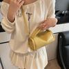 Temperament Simple Handbag Women's 2025 New Fresh and Casual Niche Single Shoulder Fashion Commuter Messenger Small Square Bag
