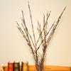 Nordic Style LED Phalaenopsis Branch Lights - Simulated Tree Branch Colored Lights for Room Decor and Atmosphere