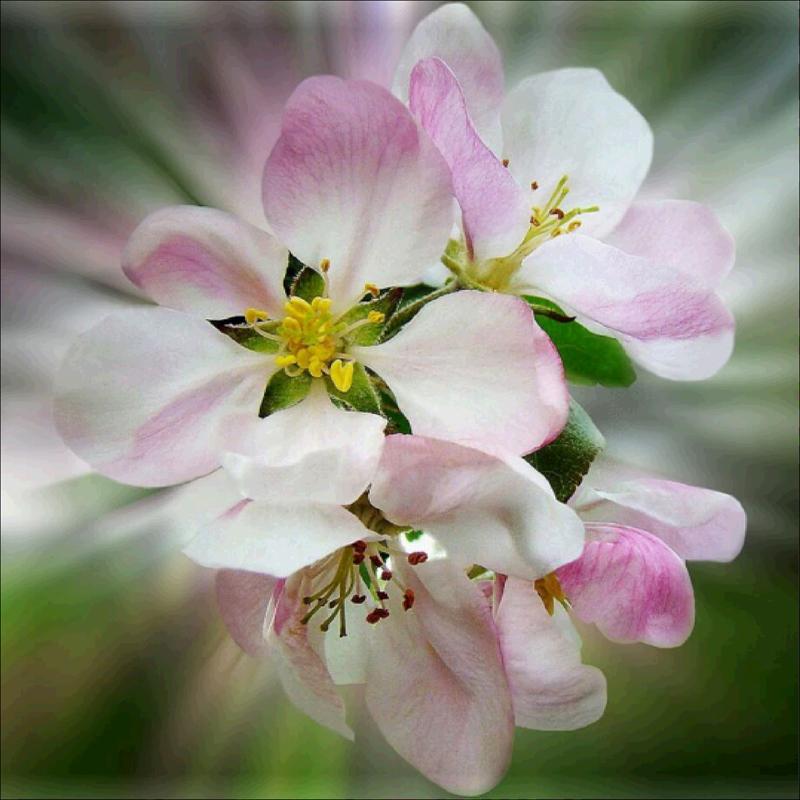 5D Diamond Painting Diy Home Wall Decoration Painting Christmas Handmade Small Gift Cross Stitch Embroidery Complete Kit