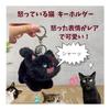 [July Sunshine] Cat Scuba Keychain Plush Toy Korean Cute Black Cat Cat Goods Miscellaneous Bag Charm
