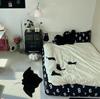 Non Slip Bat Bath Mat Machine Washable Halloween Rug Goth Decor Water Absorbent Bathroom Kitchen Bedroom Entry Floor Mat