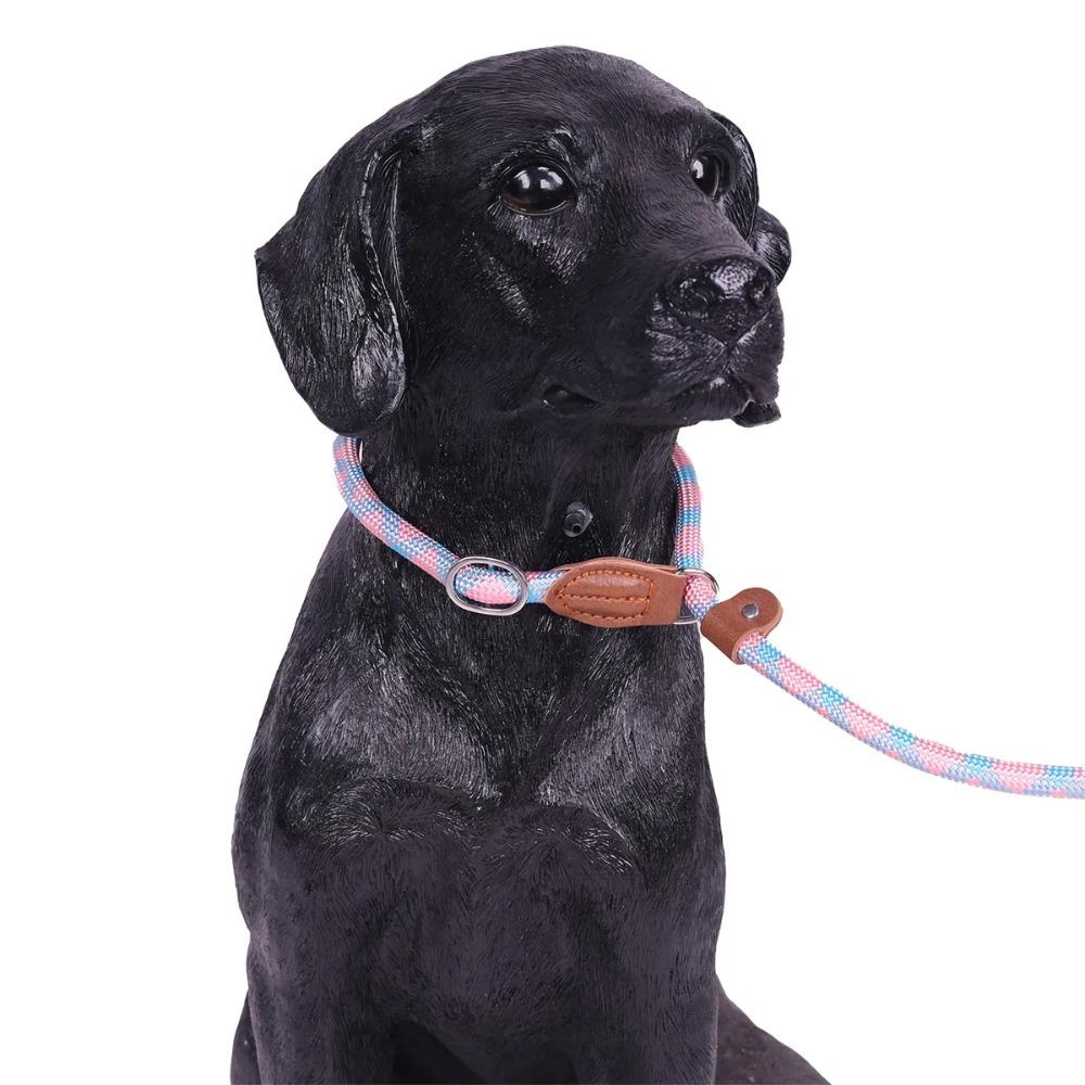 

Нейлоновый поводок для собак, прочная веревка с цепью, тяговая веревка для домашних собак