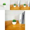 Simulated Succulent Bonsai Pot With Lightweight Pvc For Home Office Interior Design