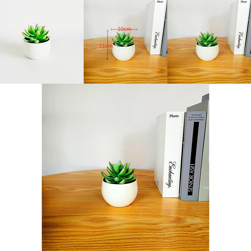 Simulated Succulent Bonsai Pot With Lightweight Pvc For Home Office Interior Design