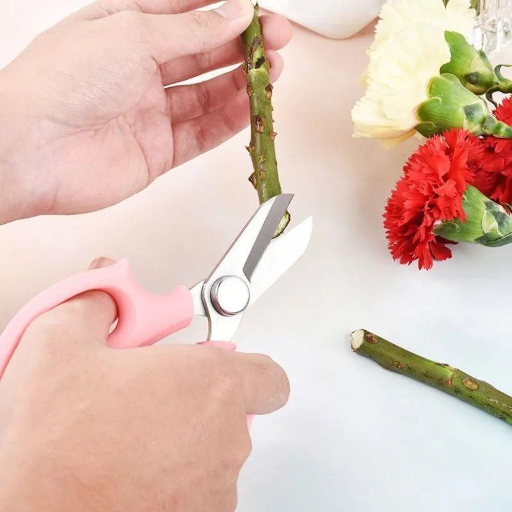Pink Pruning Tools Blue Garden Scissors Hand Cutter Garden Pruning Shears  for Flowers Branches