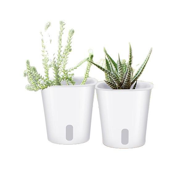 New Gardening Succulent Pot Self Watering 2-in-1 Plant Growing Box Green Plant Flower Pot Water Basin Cup