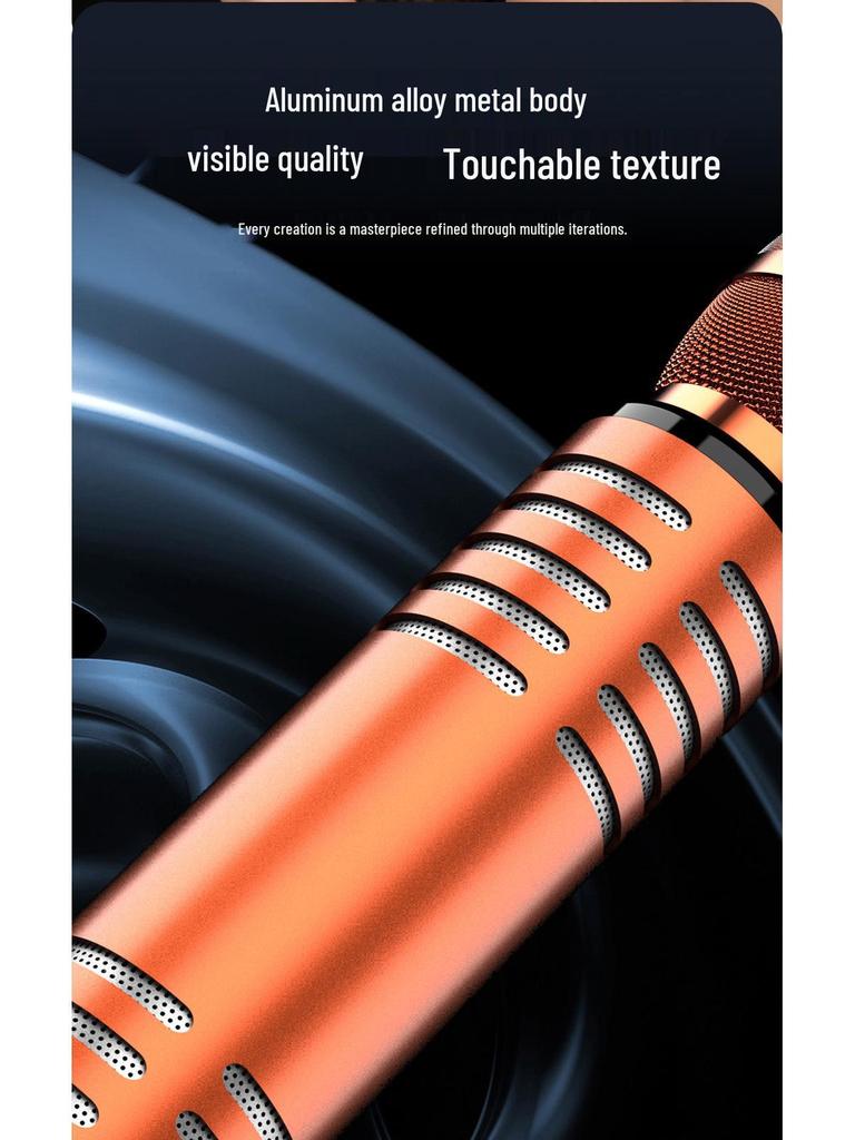 Wireless Bluetooth Microphone Speaker with Duet and Original Sound Cancellation for Home Singing