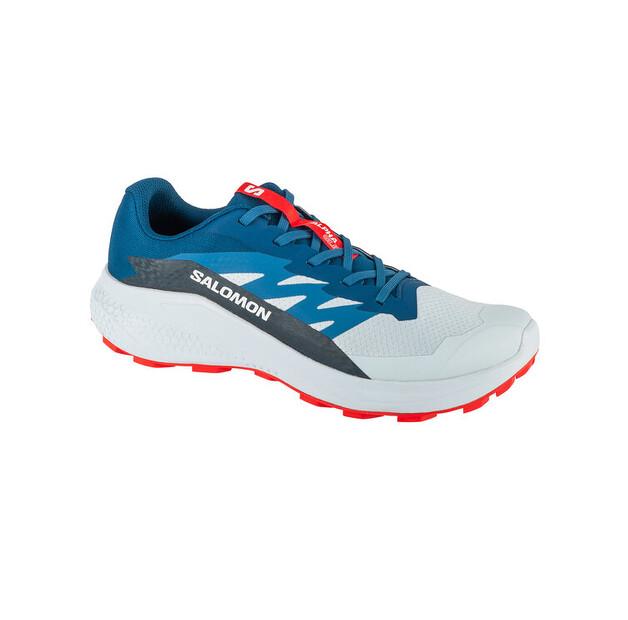 Беговые кроссовки Salomon Alphaglide Ballad EU 45_1_3