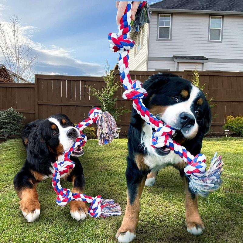 Pet Dog Chew Toy With Cotton Rope For Large Dogs Durable Tether Play