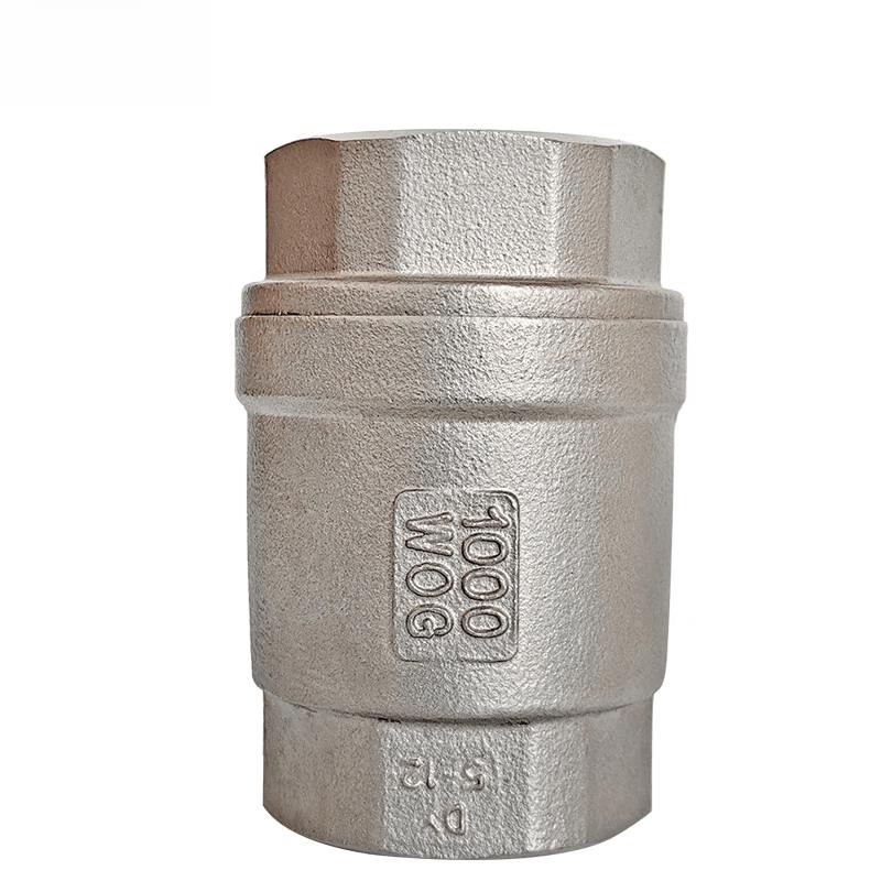 Aojing 304 Stainless Steel Vertical Check Valve