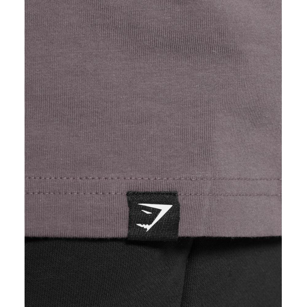 Gymshark MeTal LifTing Graphic T shirT Brushed Purple A7a2s Pbzp