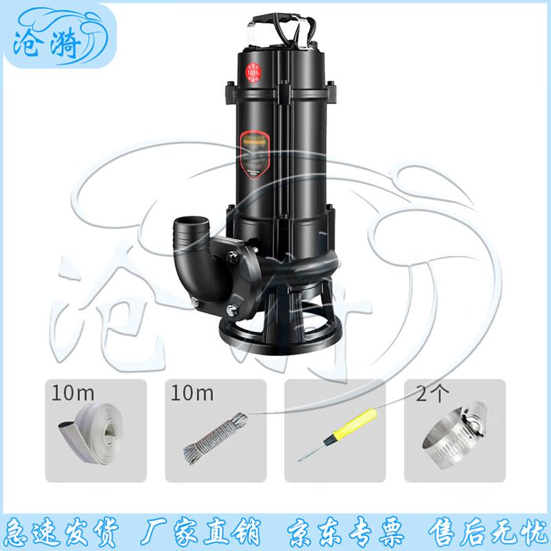 Cangyi Emergency Industrial Drainage Pump