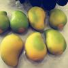 Soft TPR Mango Ball Skin Changing-color DIY Pressure Ball Kit DIY Empty Ball Skin  Adults Beginners