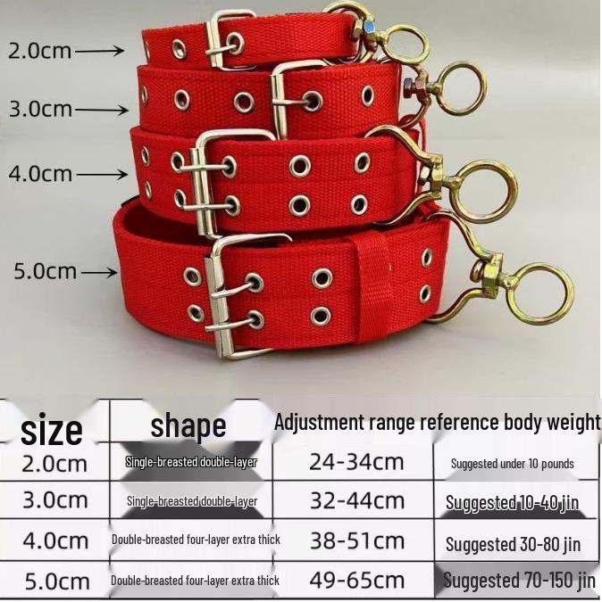 Double Row Dog Collar & Leash Set for Medium To Large Dogs