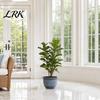 Flowerpot Large Plant Pot, Retro with Drainage Hole, Fruit Tree Backyard Pot Water Lily Planter for Indoor Outdoor Plants Patio Garden Decor