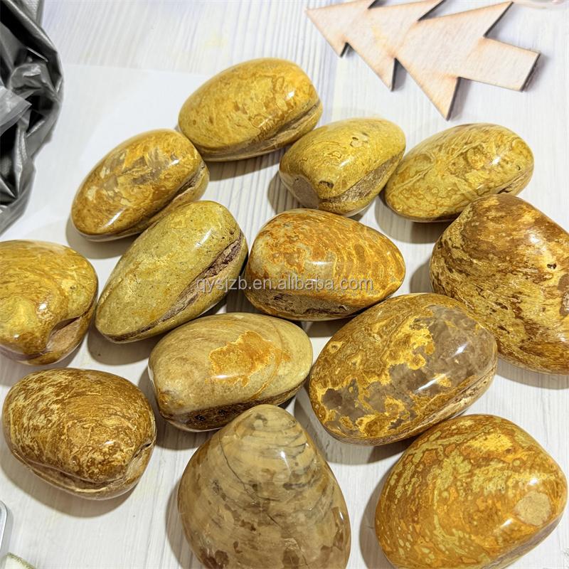 Yellow Madagascar Clam Stone Fossil Natural Bivalve Shell Specimen for Geology Study Desktop Paleo Ornament