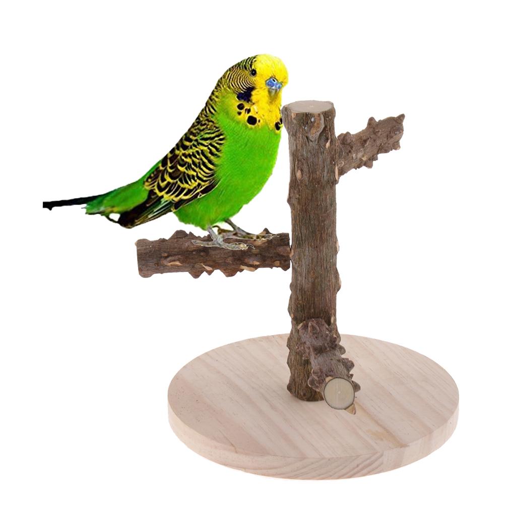 portable bird stand