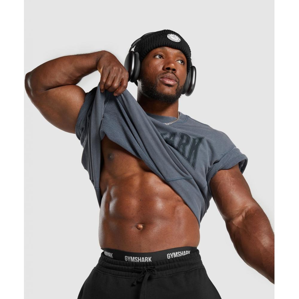 Gymshark Heritage Washed Short Sleeve Crew Titanium Blue A4a8d Ucms