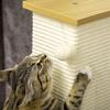 80cm Scratching Post, with Toy Ball, Sisal Rope - White