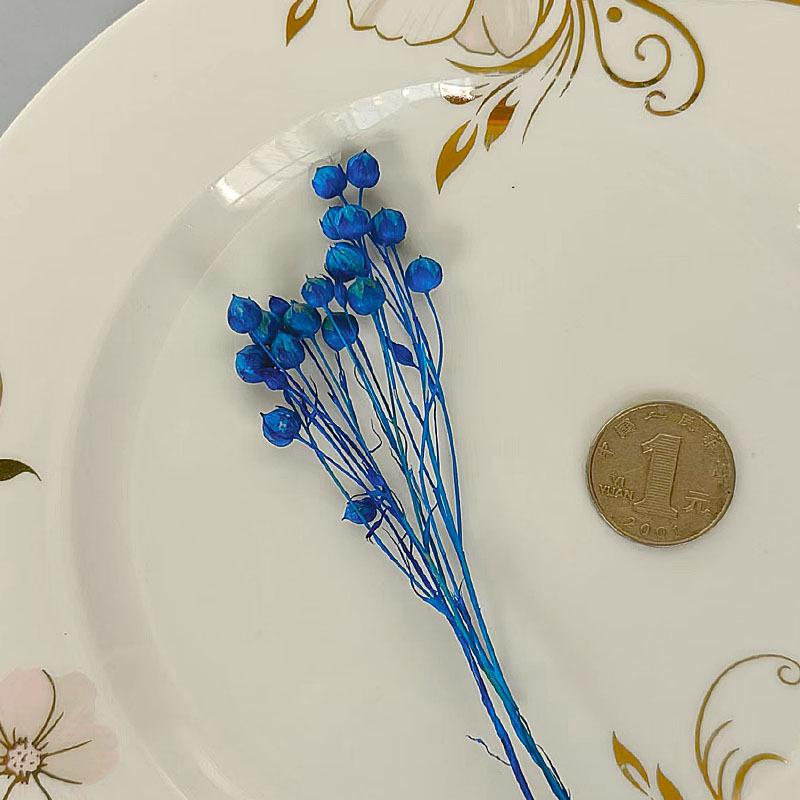 Blue Series Dried Flower DIY Kit: Hydrangea, Thousand-Layer Gold, Eucalyptus Leaf Souvenir Decoration