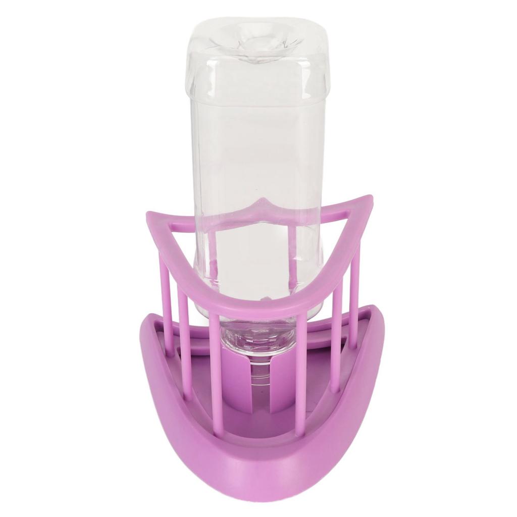 Automatic Reptile Water Feeder Safe Purple Fence Reptile Water Drinker Dispenser with Bottle for   Reptile Supplies