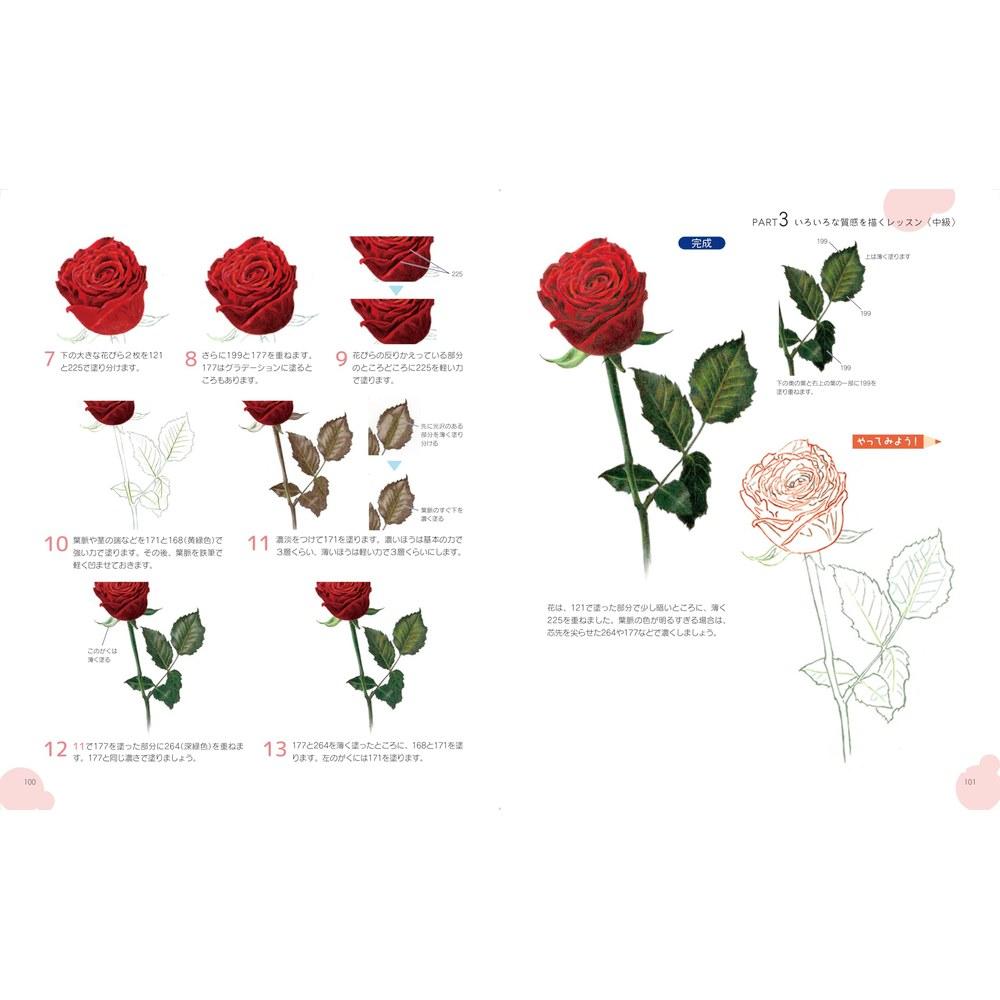 HobbyJAPAN Learn with Coloring Real Colored Pencil Drawings Flowers Fruits Sweets Jewelry