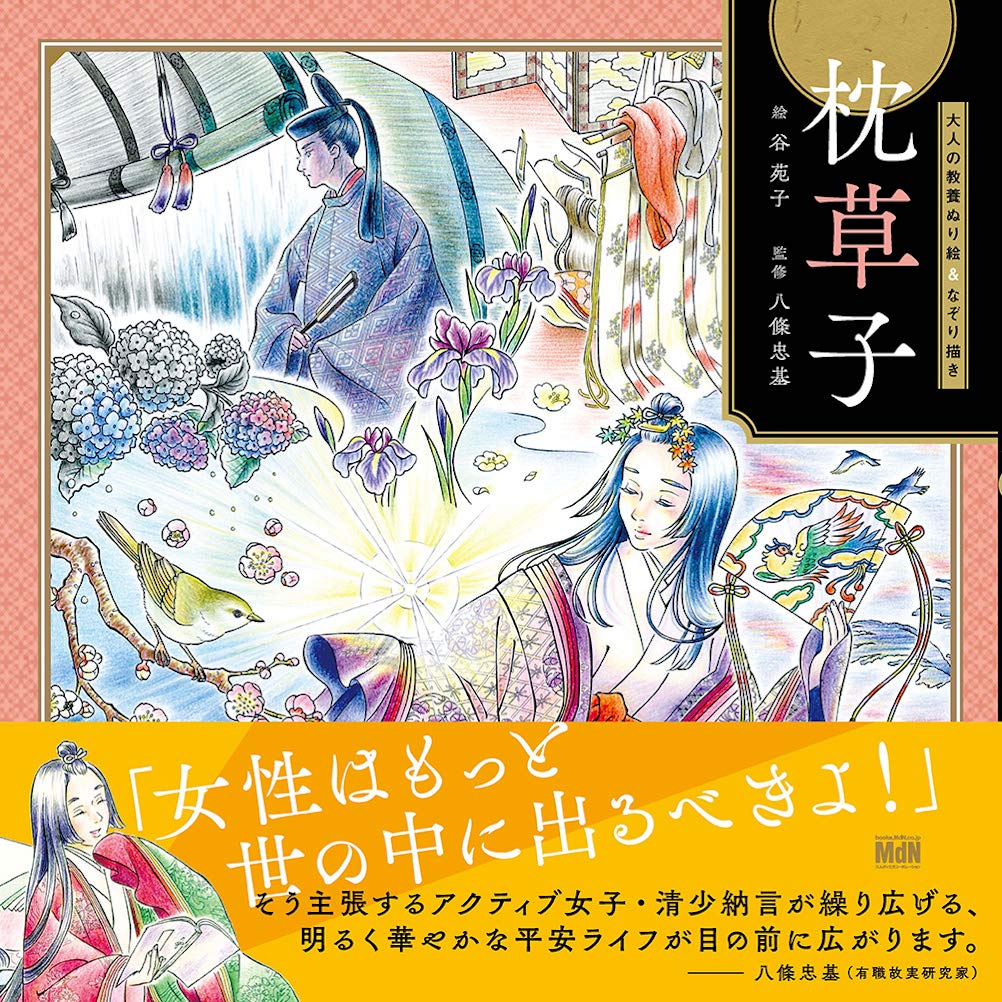 

Раскраска для взрослых, обводка, Книга подушки и Книга