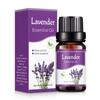 10ml Car Perfume Water-soluble Air Freshener Aroma Diffuser Air Humidifier Essential Oils Freshener Scents Fragrance Oil Perfume