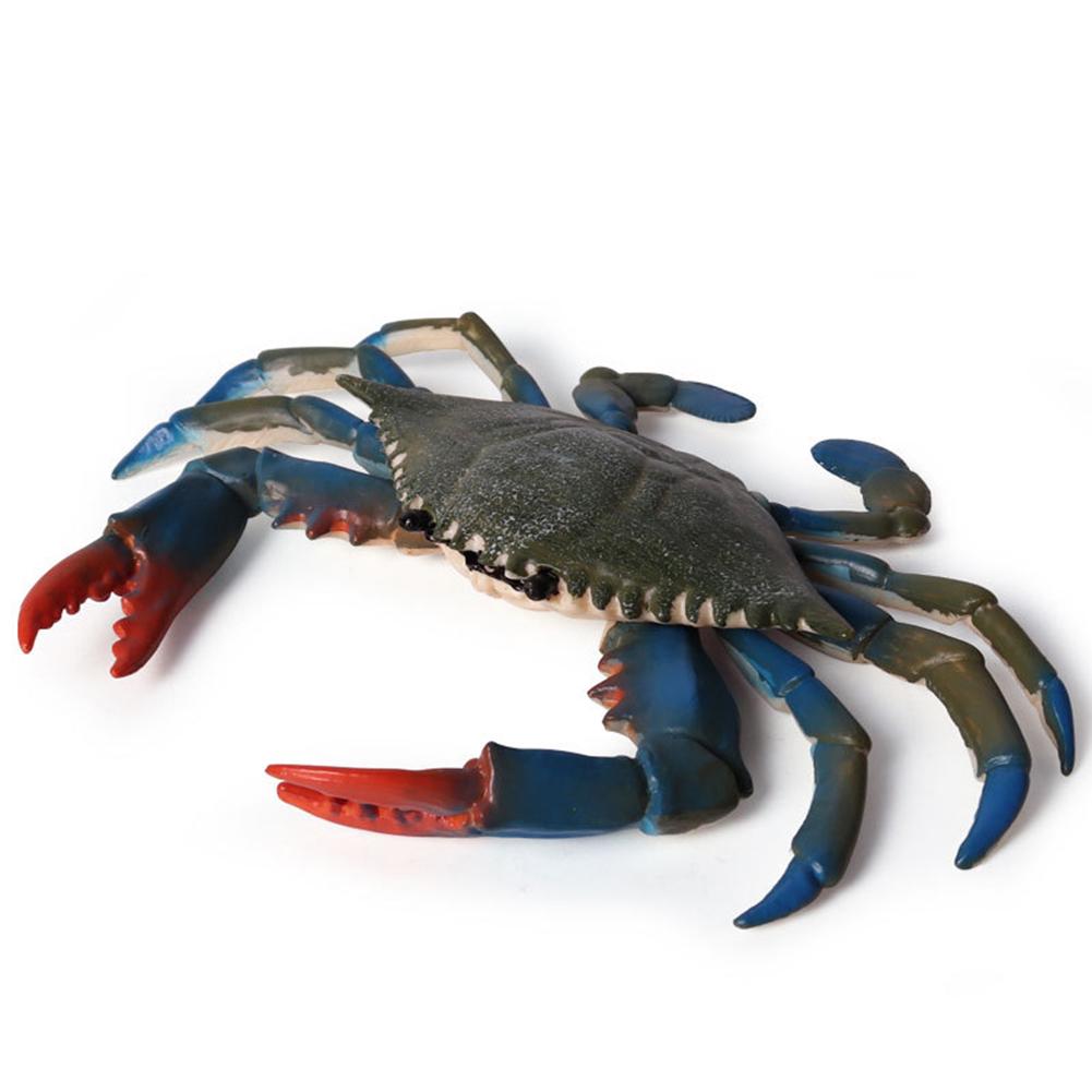 

Puntos Kids Toy Simulation Hermit Crab Морское животное ПВХ Модель Настольный Декор Образование Green Swimming Crab