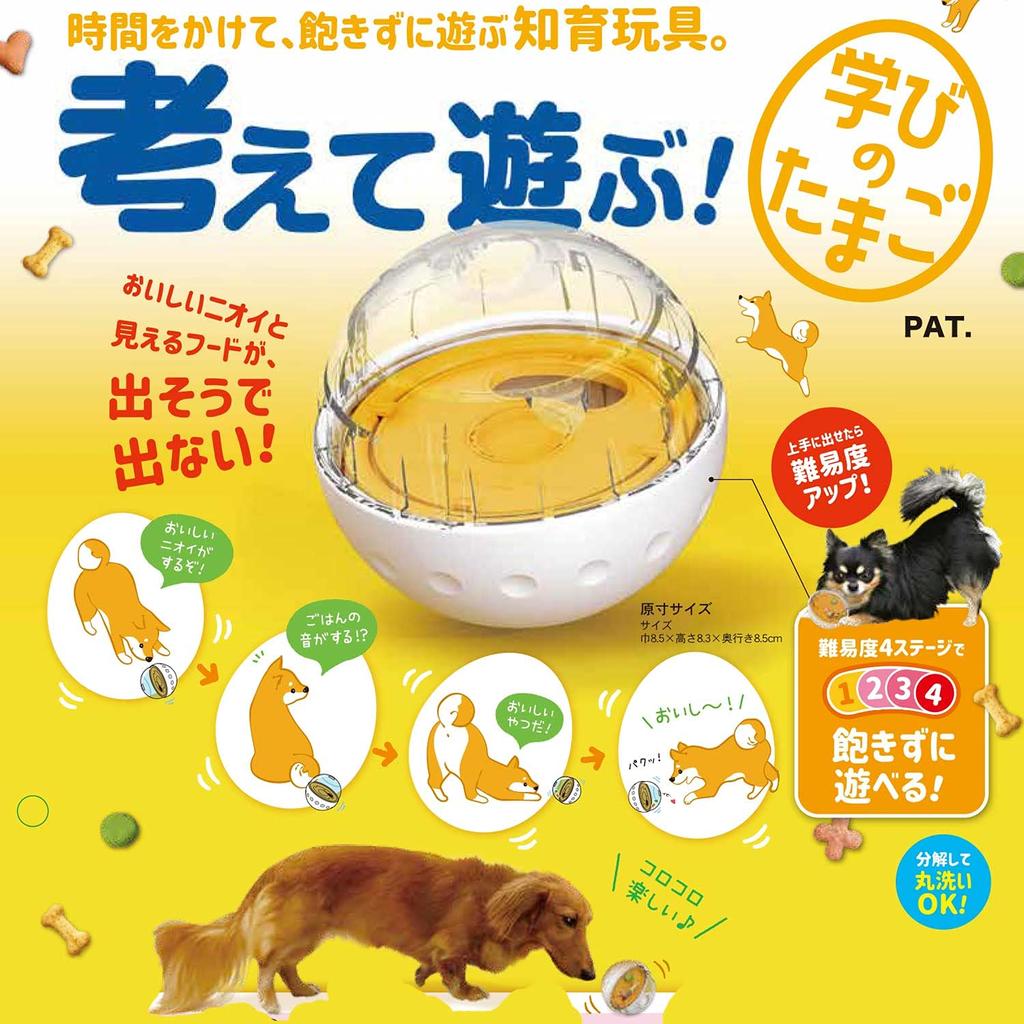 Doggyman Hayashi Think and Learning Egg Play!