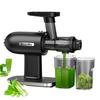 Cold Press Juicer - OEM - SJ-012 - Automatic Pulp Ejection - 800 Ml - 43 RPM