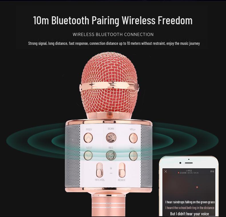 WS858 Bluetooth Karaoke Microphone for Children - Wireless Singing Mic with Speaker and Condenser features