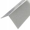Stainless Steel Angle Finishing Strip 50x60x1 10