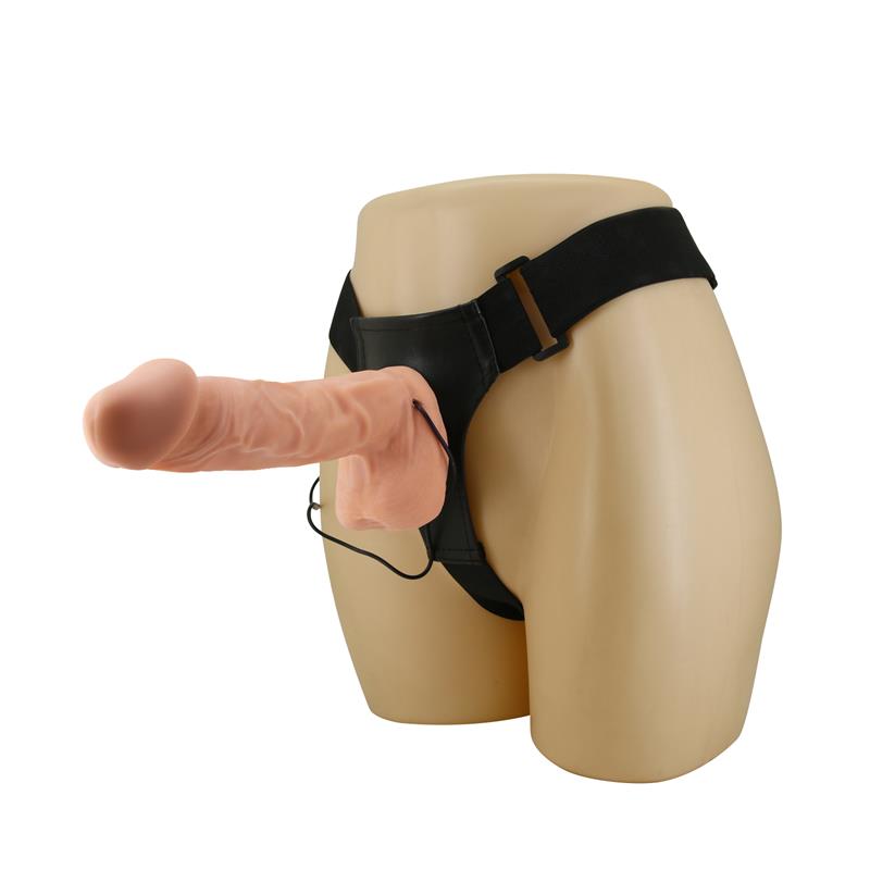 Dildo and Vibration Harness 10.2