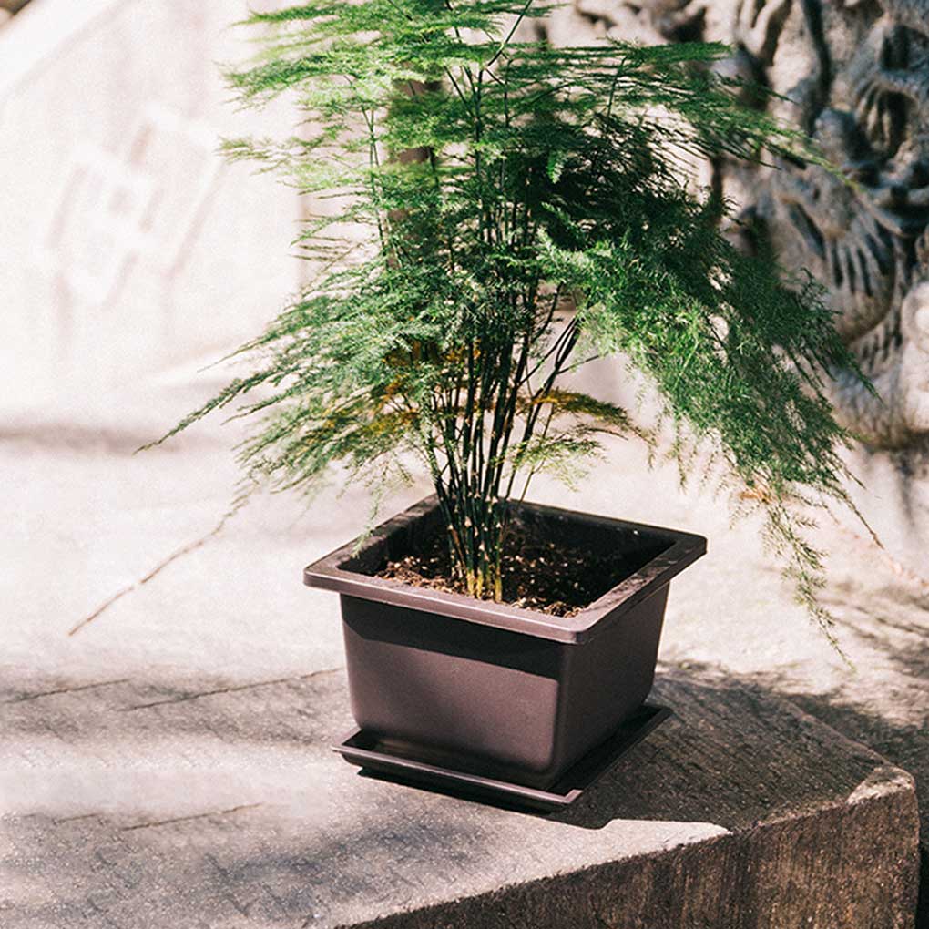 Gärtnertopf Professioneller Sukkulentenhalter Zuhause Innen Außen Pflanzgefäße Gartenzubehör mit Drainagedesign