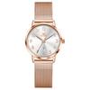 Women's Watch Fashionable Wristwatch Waterproof Ladies Analog Simple Easy-to-Read Dial Milanese Mesh Watch for Women Ladies Watch OLEVS