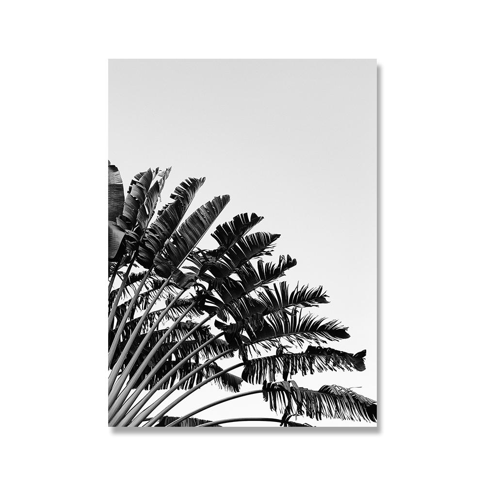 

Scandinavian Poster Black White Beach Palm Tree Nordic Style Wall Art Canvas Print Painting Decoration Picture Living Room Decor No Frame 21*30cm No Frame
