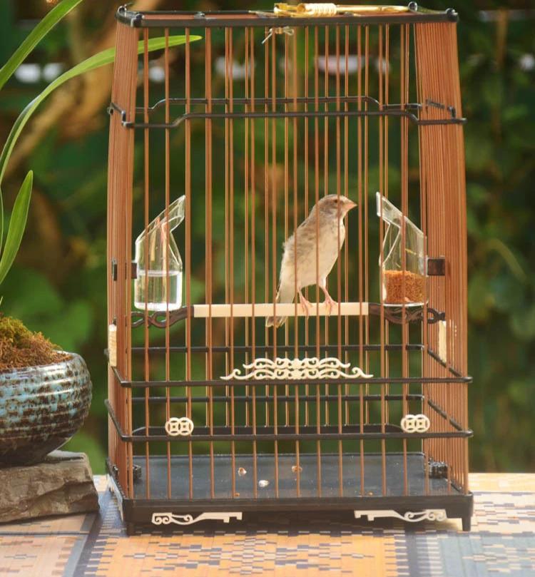 Black Square Bird Cages Parrot Outdoors Decoration Carrier Budgie Bird Cages Canary Breeding Jaula Pajaro Birds Supplies