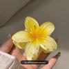 Kreuz Hibiskus Krallenclip 2024: Elegantes High-End-Haaraccessoire für Damen für Dutt & Große Frisuren