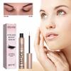 Eyelashe Essence Naturally Long, Dark, Thick, and Curled Eyelashes with Waterproof, Smudge-proof, Long-lasting Mascara