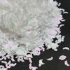 Aurora Borealis Reflective Crushed Diamond Nail Art Sequins Glitter Crystal Explosion 