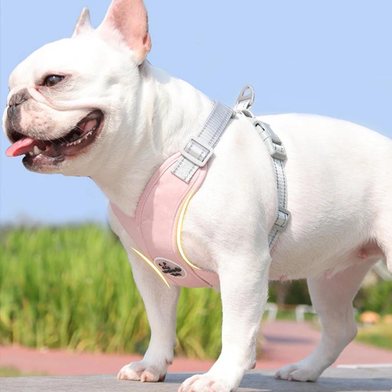 Adjustable Reflective Dog Harness Vest with Leash Set, Breathable Mesh for Small Medium Dogs & Cats, Outdoor Walking Chest Strap